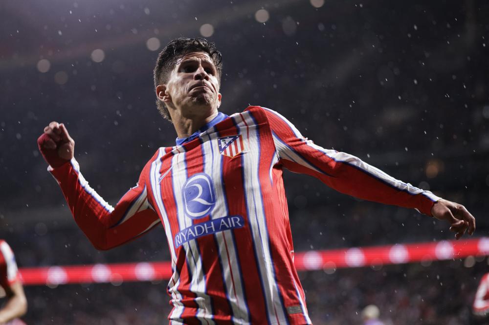 领域的合作 领域的合作